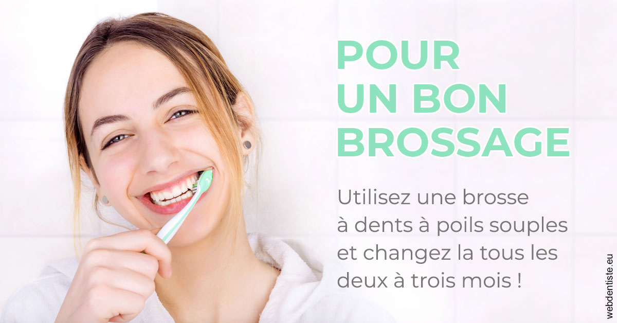 https://www.mysmile-orthodontics.com/Pour un bon brossage 2